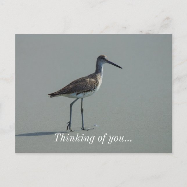 Sandpiper-Pose Postkarte (Vorderseite)