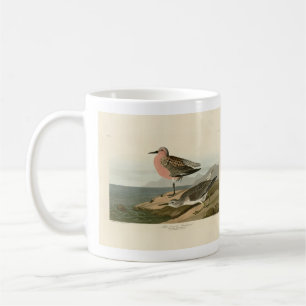 Sandpiper, Rotbrüste, Audubons Vögel von Amerika Kaffeetasse