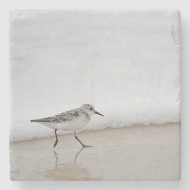 Sandpiper Shorebird Beach House Stone Untersetzer (Vorderseite)