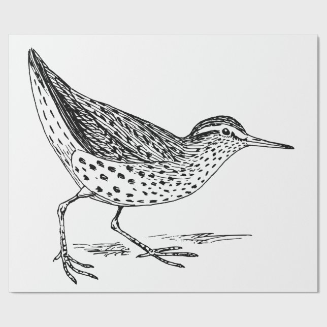 Sandpiper Shorebird Thunder_Cove Geschenkpapier (Flach)