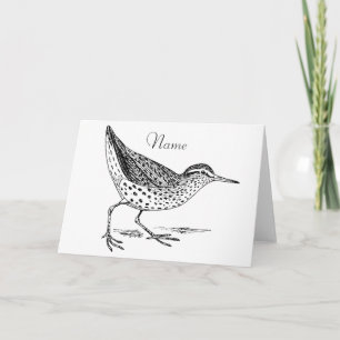 Sandpiper Shorebird Thunder_Cove Karte