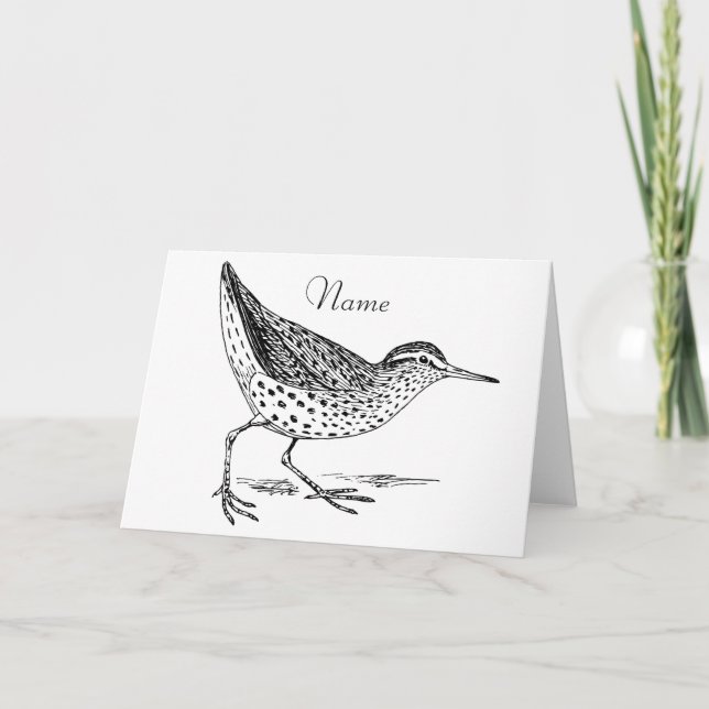 Sandpiper Shorebird Thunder_Cove Karte (Vorderseite)