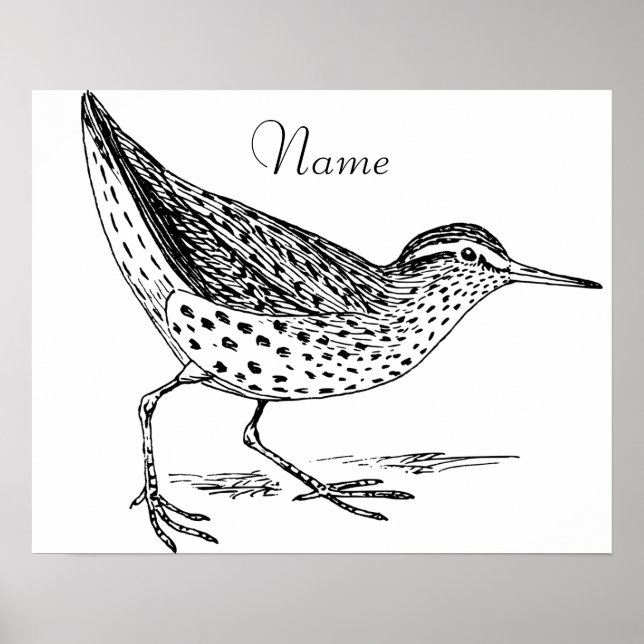 Sandpiper Shorebird Thunder_Cove Poster (Vorne)