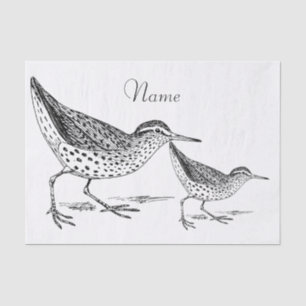 Sandpiper Shorebird Thunder_Cove Seidenpapier