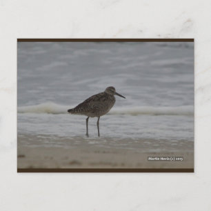 Sandpiper V   Blue Beach Song™ Postkarte