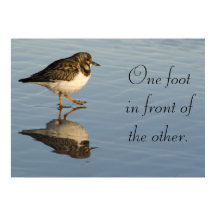Sandpiper-Vogel motivierend Poster