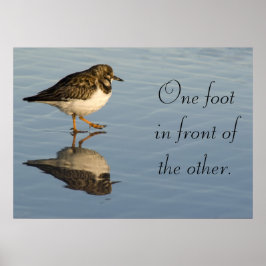 Sandpiper-Vogel motivierend Poster