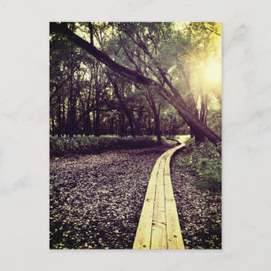 Sandpunktweg Minnesota Postkarte