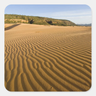 Sandrippel und Dünen bei Coral Pink Sand 2 Quadratischer Aufkleber