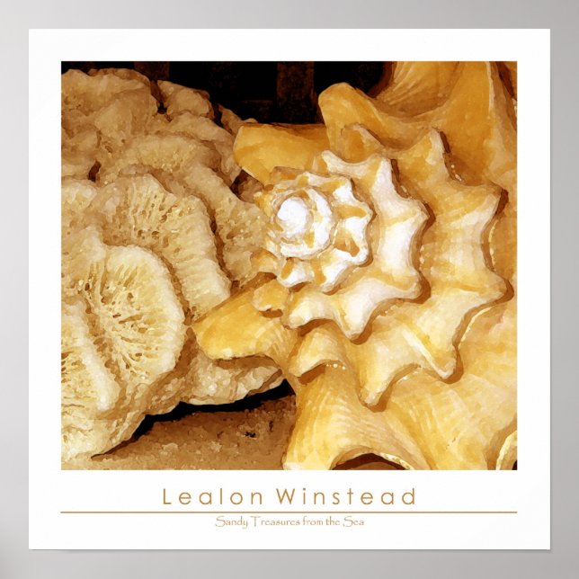 Sandschätze vom Meer Poster (Vorne)