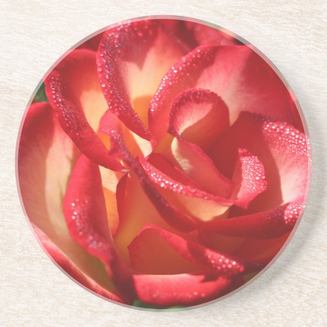 Sandstein Drink Untersetzer (Vorne)