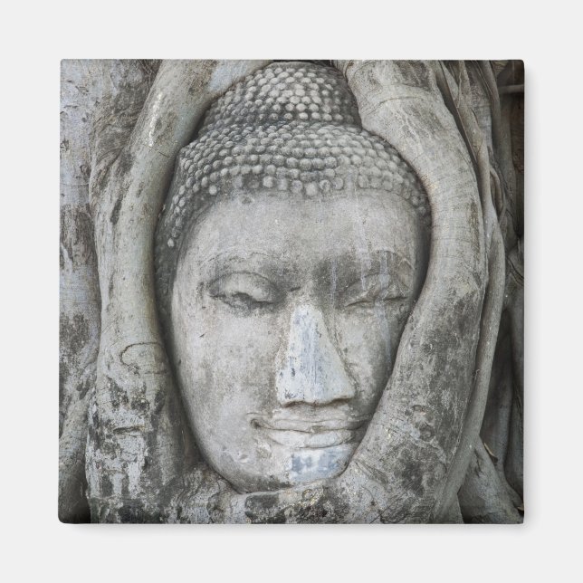 Sandsteinkopf von Buddha, umgeben von Baum Magnet (Vorne)