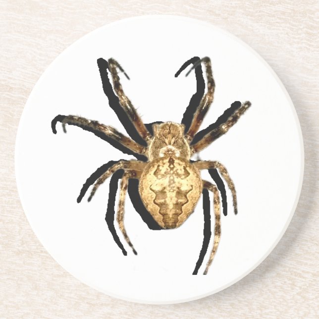 Sandstone Untersetzer (Vorne)