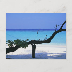 Sandstrand 8 postkarte