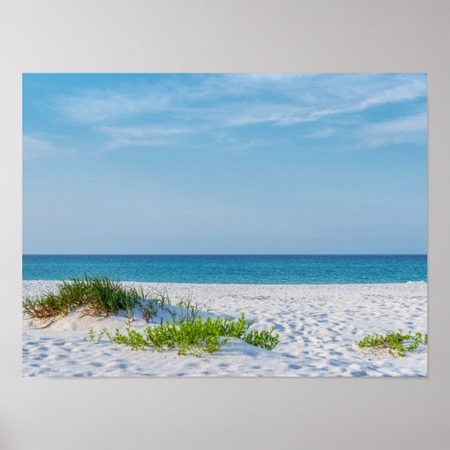 Sandstrand Florida Küste Poster (Vorne)