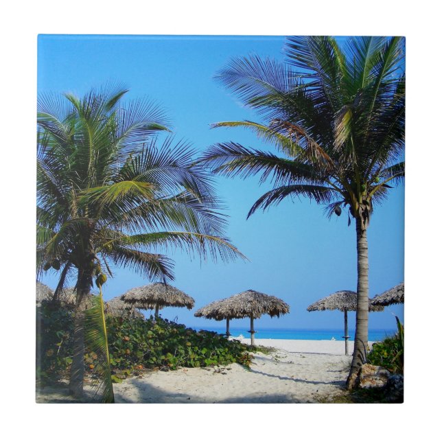 Sandstrand mit Palmen und Meerblick Fliese (Vorderseite)