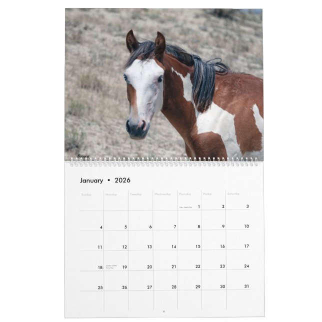 Sandwaschbecken - Kalender 2021 (Jan 2026)