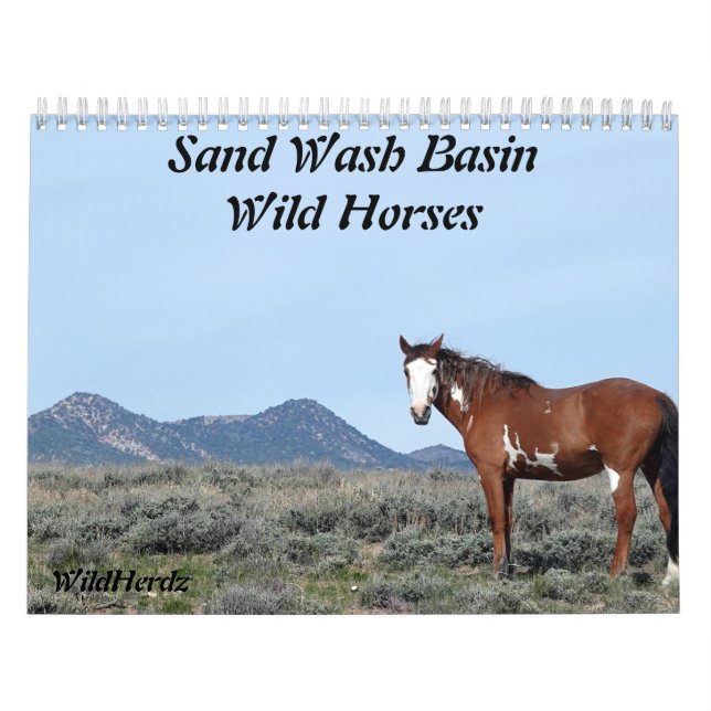 Sandwaschbecken Wilde Pferde Kalender (Titelbild)