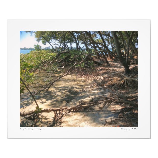 Sandweg durch die Mangroven Fotodruck (Vorne)