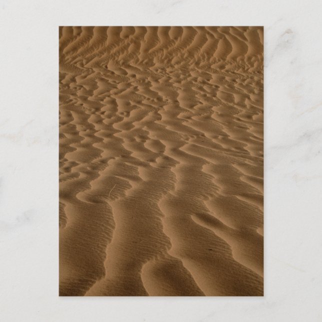 Sandwellen Postkarte (Vorderseite)