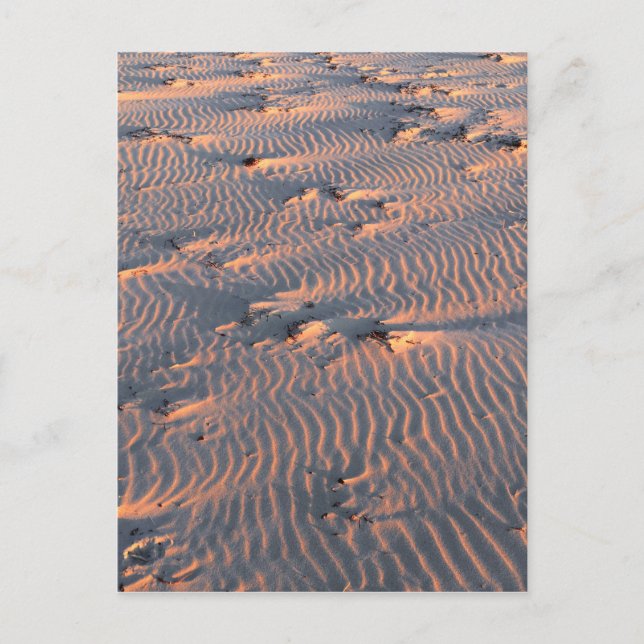 Sandwellen Postkarte (Vorderseite)