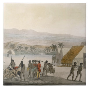 Sandwich-Inseln - ein Bewohner des Westens, der Fliese