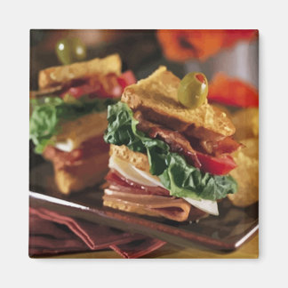 Sandwich Question Magnet