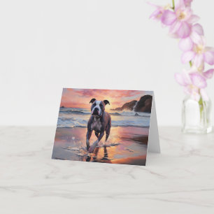 Sandy American Staffordshire Dog on Beach Sunset Karte