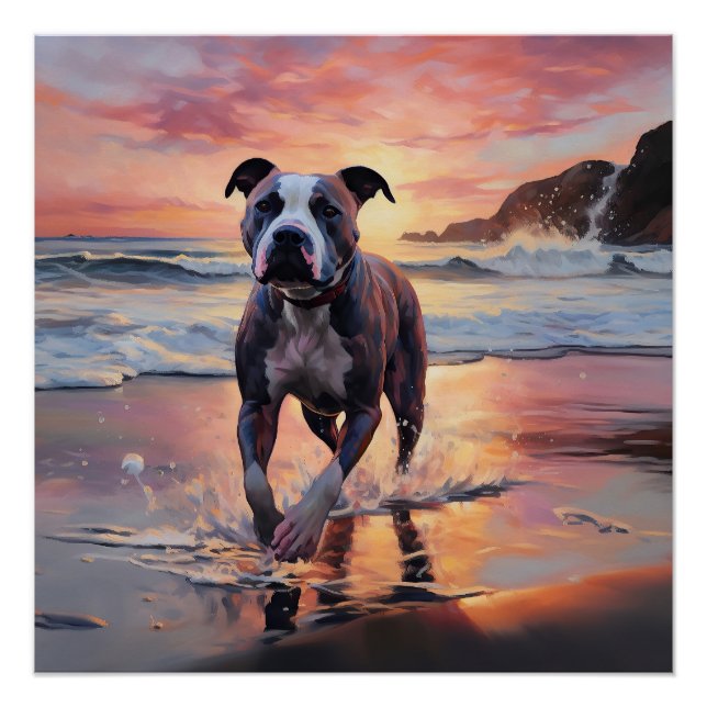 Sandy American Staffordshire Dog on Beach Sunset Poster (Vorderseite)