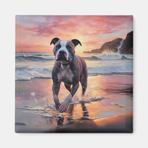 Sandy Amerikanischer Staffordshire Hund am Strand Magnet