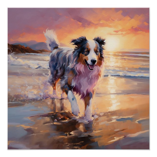 Sandy Australian Shepherd Dog on Beach Sunset Poster (Vorderseite)