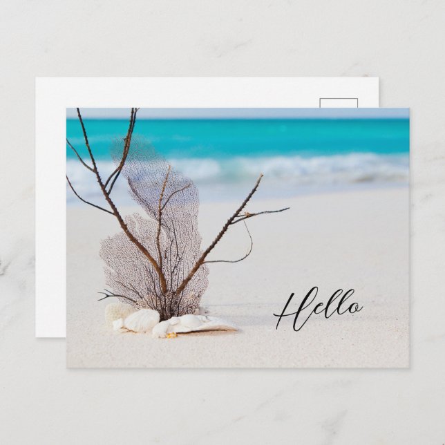 Sandy Beach mit White Seashells Hallo Postkarte (Vorne/Hinten)
