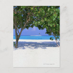 Sandy Beach Postkarte