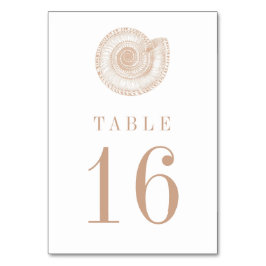 Sandy Beige Tan Sea Muschel Tischnummer Card