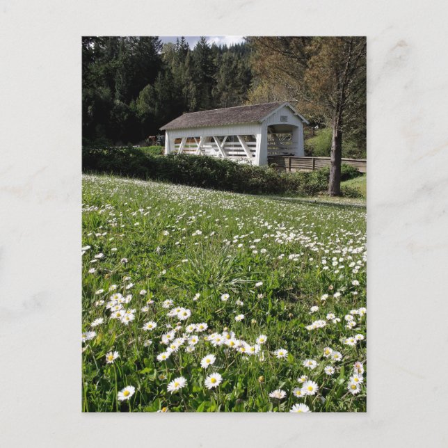 Sandy Cr. Covered Bridge Postkarte (Vorderseite)