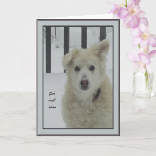 *Sandy Dog - bald wieder gesund Karte