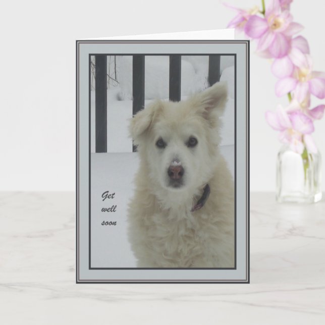 *Sandy Dog - bald wieder gesund Karte (Orchidee)