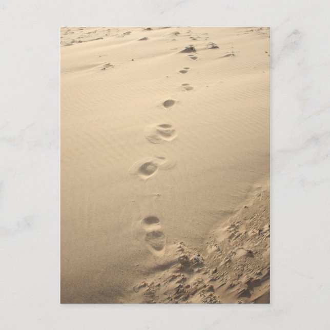 Sandy Footprints Postkarte (Vorderseite)