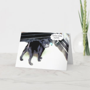 Sandy Mops Happy Birthday Grußkarte Karte