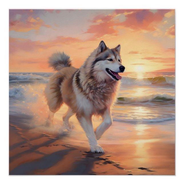 Sandy Paws Alaskan Malamute Dog on Beach Sunset Poster (Vorderseite)