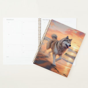 Sandy Paws Alaskan Malamute Hund am Strand Sonnenu Planer