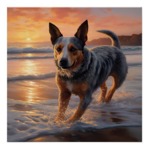 Sandy Paws Australian Cattle Dog am Strand bei Son Poster