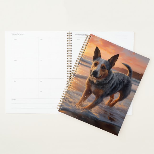 Sandy Paws Australian Cattle Dog on Beach Sunset Planer (Anzeige)