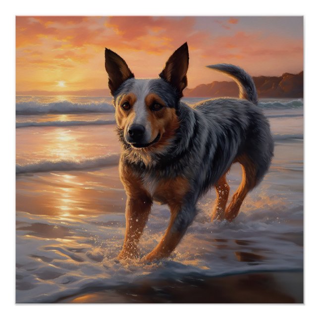 Sandy Paws Australian Cattle Dog on Beach Sunset Poster (Vorderseite)