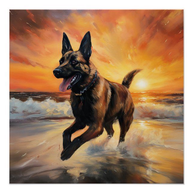 Sandy Paws Belgischer Malinois Hund auf Beach Suns Poster (Vorderseite)