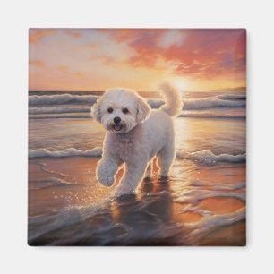 Sandy Paws Bichon Frise Dog on Beach Sunset Magnet