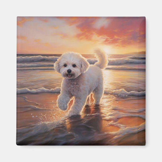 Sandy Paws Bichon Frise Dog on Beach Sunset Magnet (Vorne)