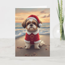 Sandy Paws & Weihnachtsstimmung – Kleiner Strand-S