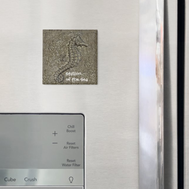 Sandy Textured Seepferd Fotograf Magnet (In Situ (Kühlschrank))