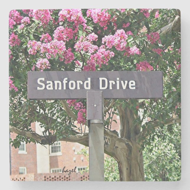 Sanford Drive Blume Athens Georgia Untersetzer. Steinuntersetzer (Vorderseite)